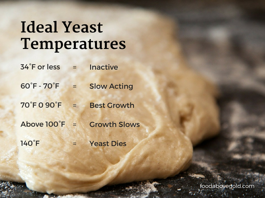 Uncooked dough with text overlaying it showing ideal yeast temperatures.