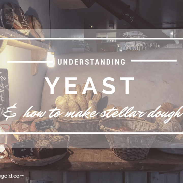 understanding yeast