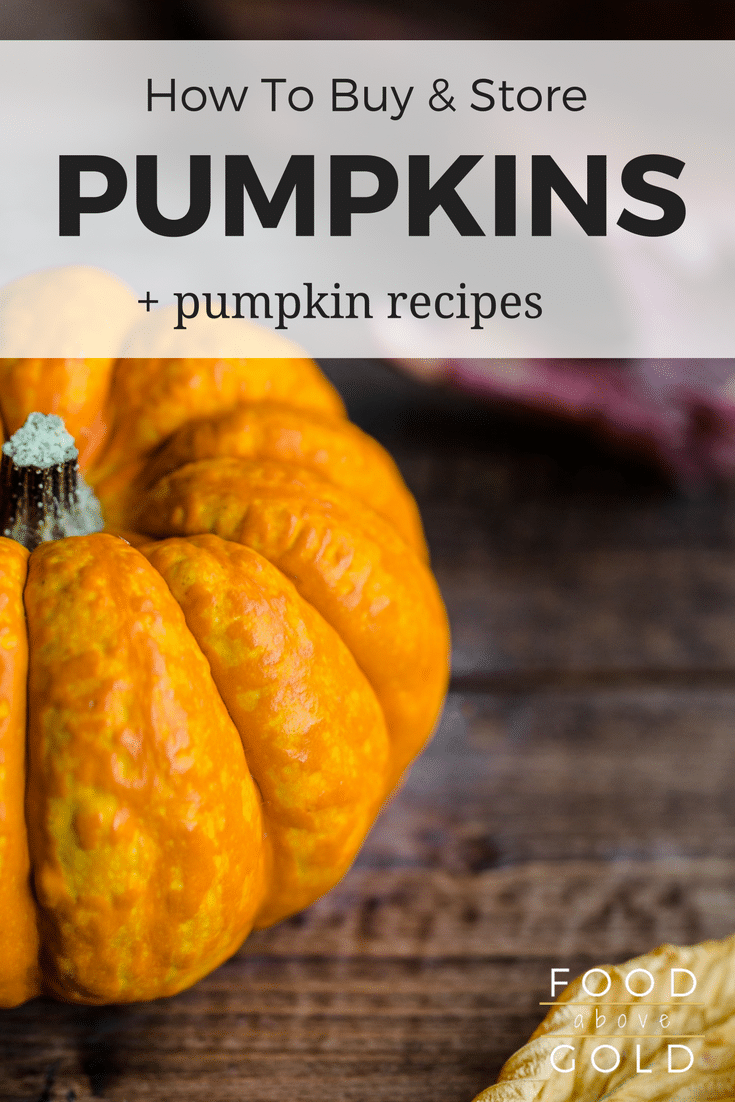 Want to start cooking with fresh pumpkins at home?  Learn the anatomy of a pumpkin and how to buy & store pumpkins for eating and for decorating.  Plus, fantastic sweet and savory pumpkin recipes!