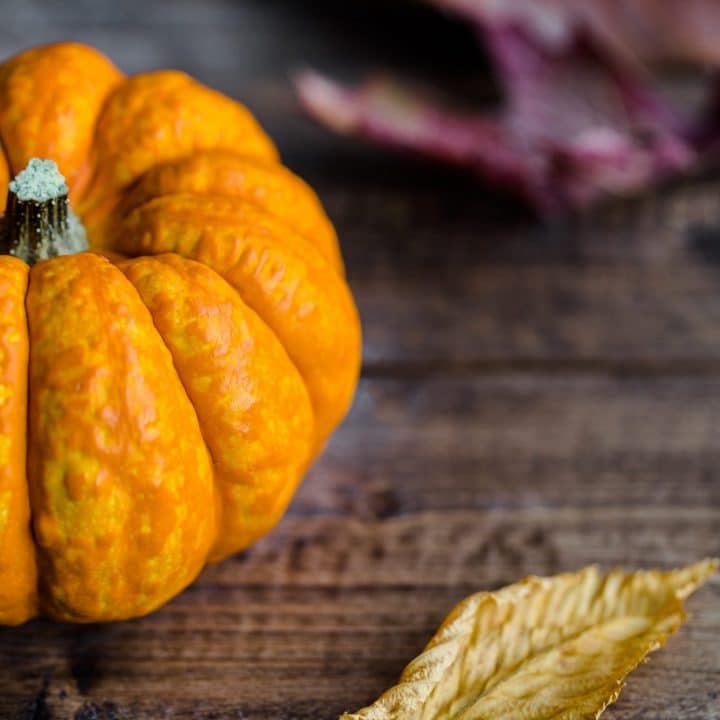 Half of a pumpkin next to dry autumn leaves