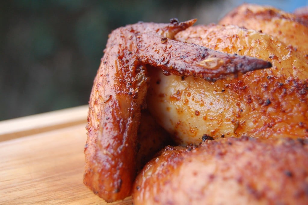 A roasted wing of a chicken or turkey.