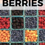 Learn everything you need to know about how to buy and store berries so your summer bounty doesn't spoil or go bad before you get to savor it!
