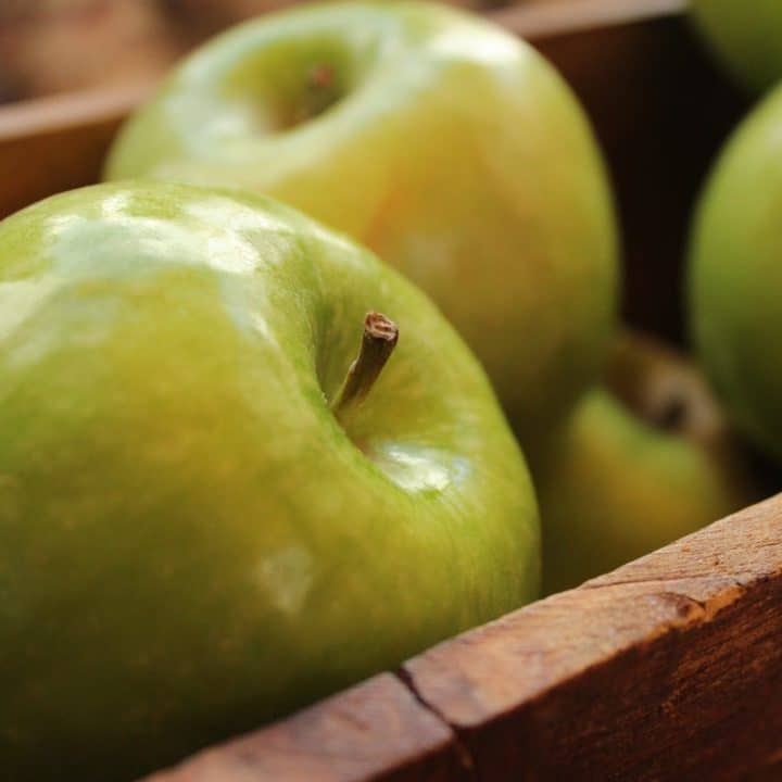 Learn everything you need to know about how to buy and store apples so you can enjoy all your autumn apple recipes to their fullest! There's even a handy-dandy FAQ section where you can find lists of the best apples for baking, eating out of hand, making cider, and many more!