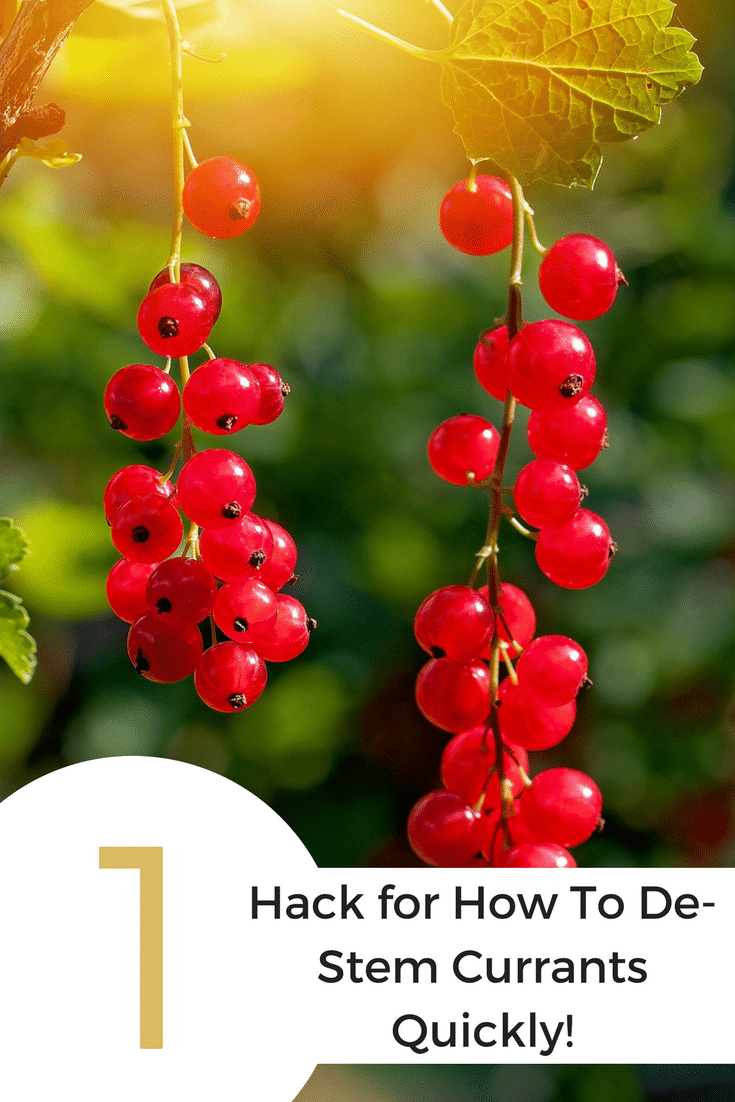 Red currants on the stem with text saying "1 hack for how to de-stem currants quickly".