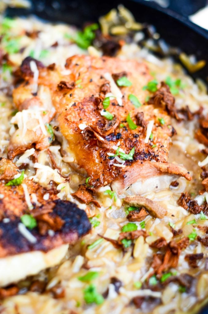 close up of chicken on top of wild mushroom orzo