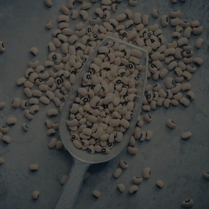 Black overlay on a metal scoop spilling beans.