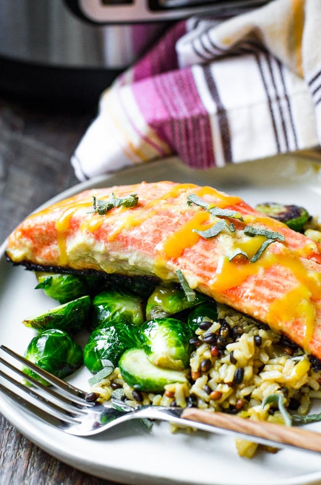 Close up of a sous vide salmon fillet over Brussles sprouts and rice.