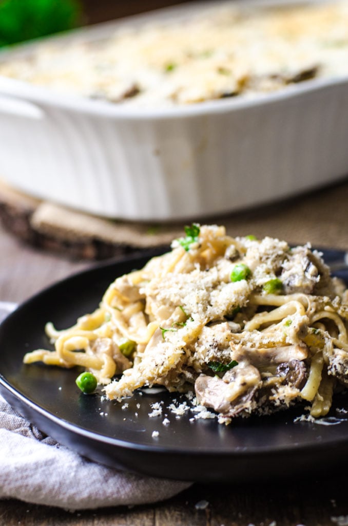 Close up of a black plate with a helping of turkey tetrazzini on it.