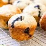 Closeup of blueberry juice coming out of a blueberry zucchini muffin.