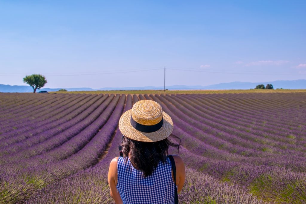 Woman in a straw hat looking at a lavender field.