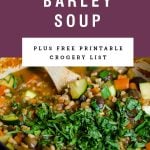 A purple pot of soup with a purple block above it saying 'vegetable barley soup"