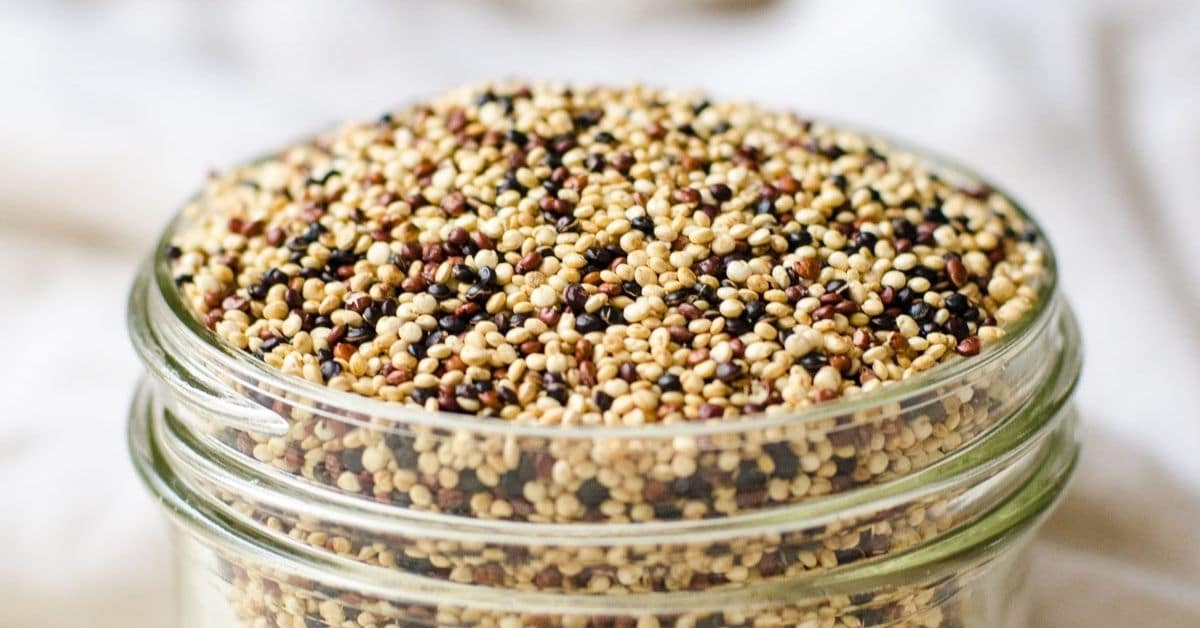 Close up of popped color quinoa in a jar.