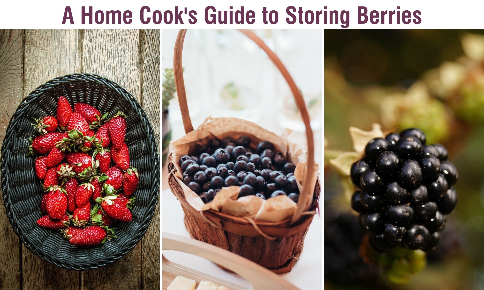 Three pictures of berries with text saying "a home cook's guide to storing berries" above them.