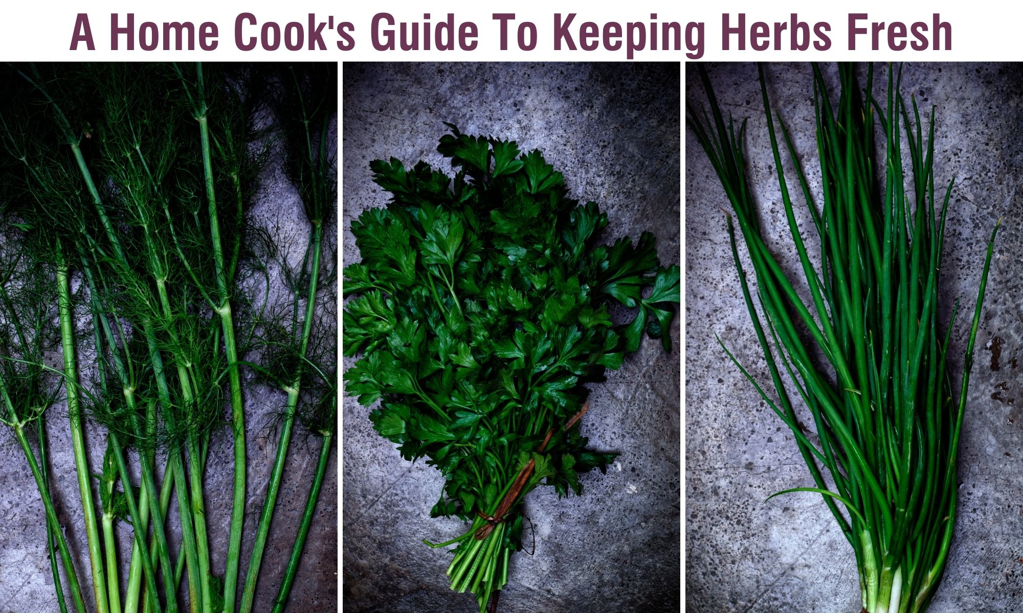 Three side by side bunches of fresh herbs with text above saying "a home cook's guide to keeping herbs fresh"